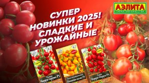 СЛАДКИЕ НОВИНКИ 2025! Томаты Черри-круто F1, Черри-берри F1, Огненная кисть F1