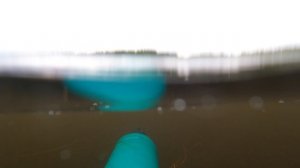 ПОДВОДНАЯ ОХОТА НА МОНСТРА