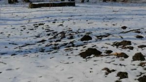 26.02.2025.Усадьба Парк Кино Ляхово. Парк Кошек. Скважина в центре Усадьбы(Бизнес план) #Ляхово, #До