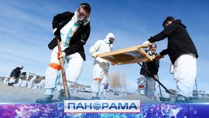 Сохраняй природу и развивай среду: в Росмолодёжь.Гранты начат приём заявок на реализацию проектов!
