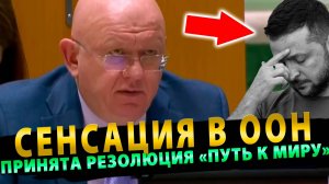 Немыслимо – Сенсация в ООН! СБ ООН! ВПЕРВЫЕ ПРИНЯЛИ РЕЗОЛЮЦИЮ ПО УКРАИНЕ «ПУТЬ к МИРУ»