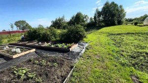 За ягодой в 2024г.