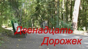 Двенадцать дорожек