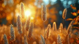 Релакс Наипрекраснейшие Оттенки Нашей Природы Под Расслабляющею Музыку !!!!!!!!!!!!!!!!!!!