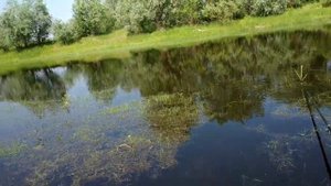 На берегу реки Припять./2/