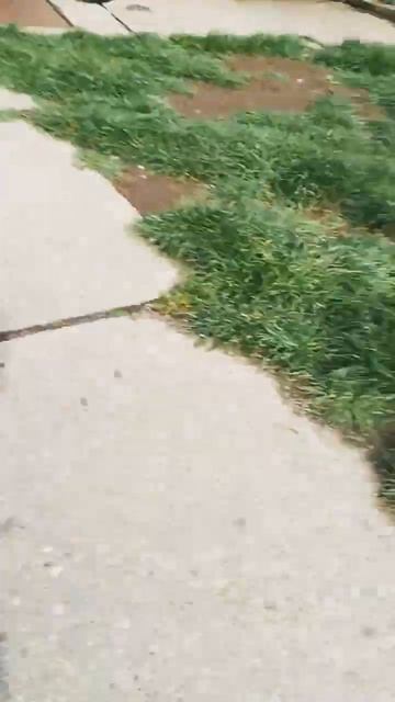 2024. április 18. смотреть онлайн