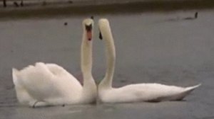 Маршруты Любви