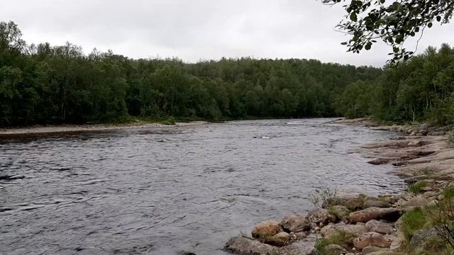 11 07 20 Танковый брод смотреть онлайн