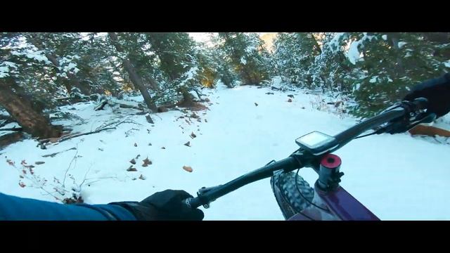 Fat Biking Staunton State Park | Salsa Beargrease | Colorado смотреть онлайн