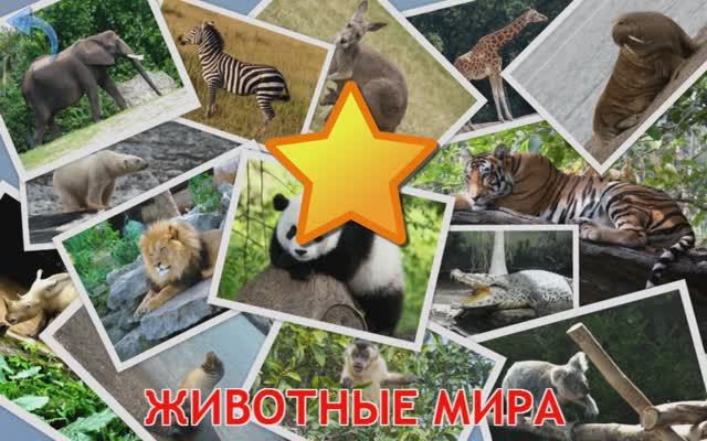 Изучаем животных - Животные мира. Карточки Домана для детей.