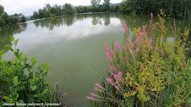 Воскресная рыбалка, дядя Витя поймал трофея! смотреть онлайн