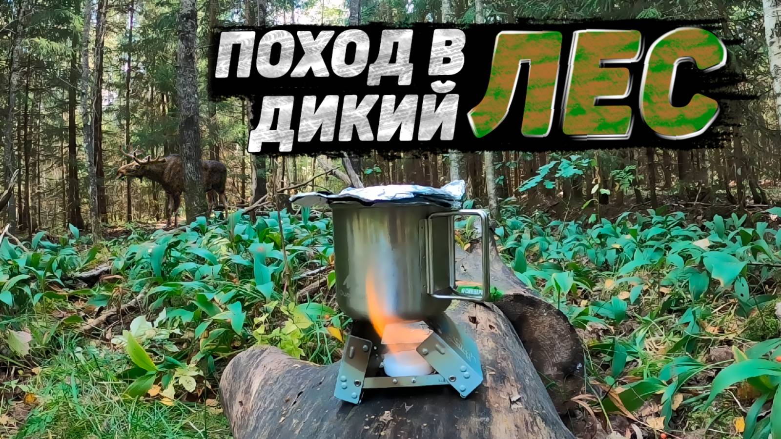 В ДИКИЙ ЛЕС с рюкзаком | ПВД | кейс горелка смотреть онлайн