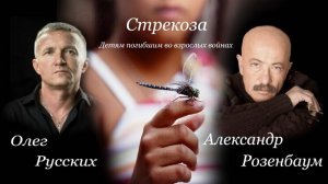 "Стрекоза" кавер-версия