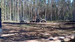 Процесс сборки сруба в летний период