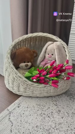 Котодом цвет бри