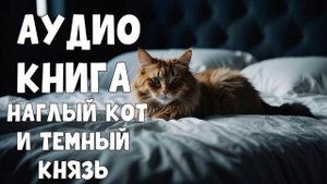 Аудиокнига- любовное фэнтези о попаданке: Наглый кот и темный князь
