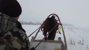 Брянское подворье(Унечский р/н)