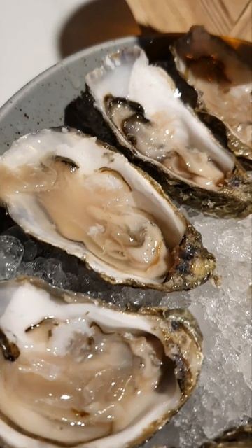Устрицы #устрицы#морепродукты#морскиеобитатели#вкусняха#красота#ракушки#хорошийвечер смотреть онлайн
