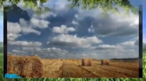 Очень красивая музыка самого популярного музыканта Сергея Чекалина к любимой песне "РЕКА"