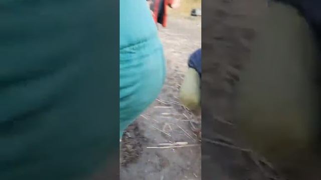 Споймали 🎣 и отпускают 🐟! МОЛОДЦЫ 👍 #дядяборя