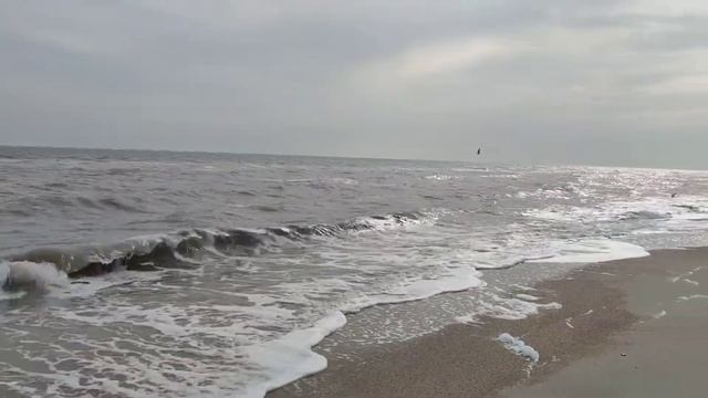 #азовскоеморе , 2021 смотреть онлайн