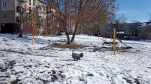 Я ВИЖУ МУЗЫКУ ВО ВСЕМ🎻🎶🎹