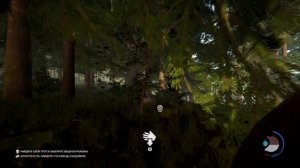 forest/day1/попытки/понят/че/делат/ваще