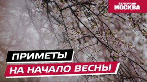 Приметы на начало весны // Вечерняя Москва