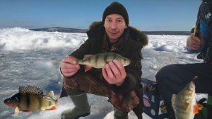 Зимняя рыбалка. Как поймать окуня на балансир и безмотылку.