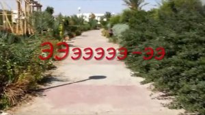 Жизнь общажная