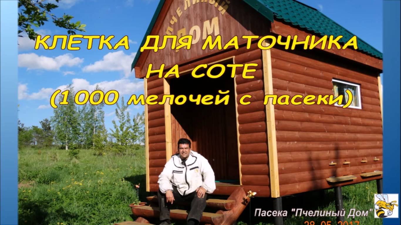 КЛЕТКА ДЛЯ ПЧЕЛИНОЙ МАТКИ СВОИМИ РУКАМИ ЗА 5 МИНУТ. смотреть онлайн