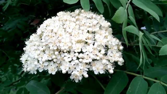 12. 13.05.2020. смотреть онлайн