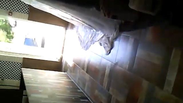 Бургерная смотреть онлайн