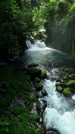 Релакс Река и Прекрасная Природа