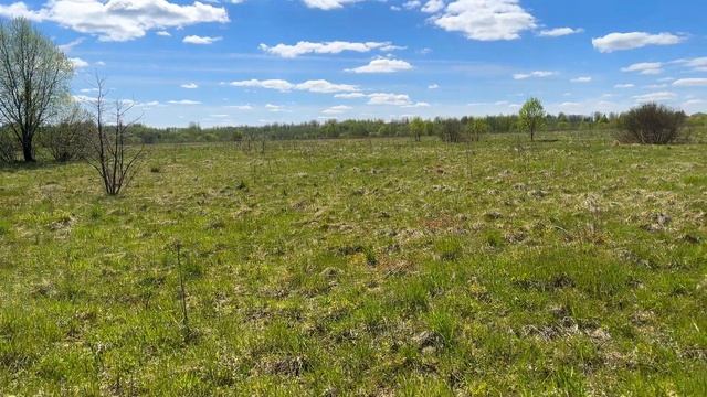 Купи себе участок на берегу реки Луга смотреть онлайн