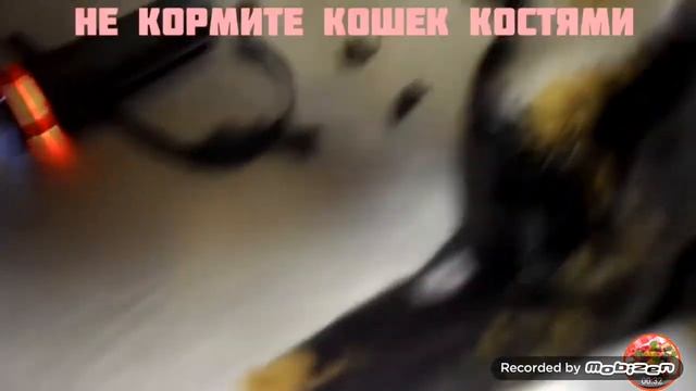 Куки в опасности смотреть онлайн