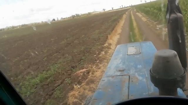 Уборка зерновых 2019 смотреть онлайн