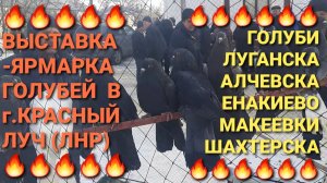 🕊🕊🕊 Голуби Луганска, Алчевска, Енакиево, Шахтерска на выставке-ярмарке в г.Красный Луч.