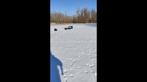 Рыбалка на реке Дон.