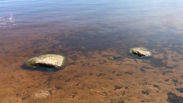 Чистая вода. Июнь. смотреть онлайн