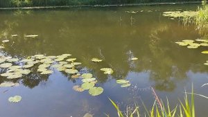 Река Протва. Отличная рыбалка 4 июля