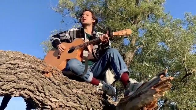 Таверна — Лес смотреть онлайн