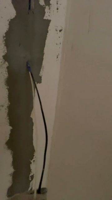 Выключатель в коридоре смотреть онлайн