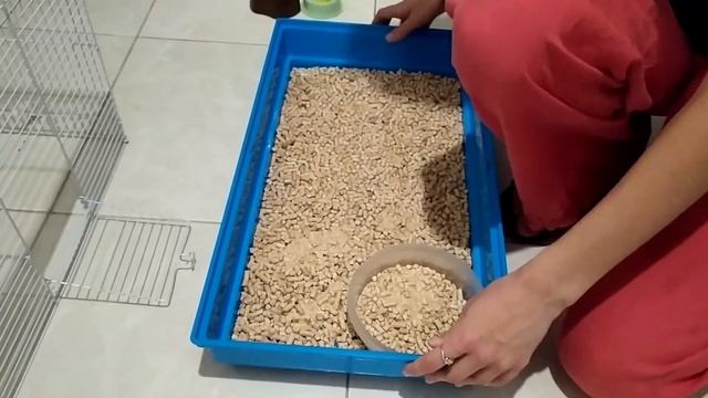 Уборка в клетке у крысы смотреть онлайн