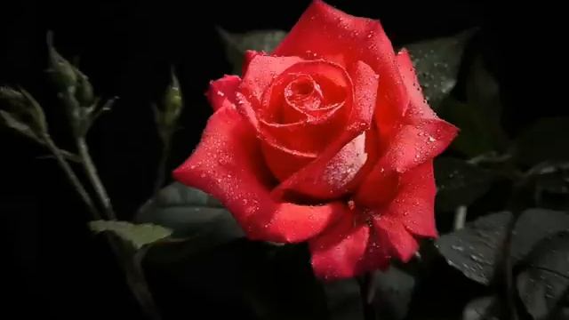 SALSA DE ALCOBA SENSUAL 2 (SOLO EXITOS)MIX 2020 смотреть онлайн