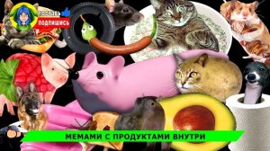 ВСЕ НОВЫЕ ПЕСНИ про МЫШКУ СОСИСКУ ➤ Ягода малинка ПАРОДИЯ - песня про мышка-сосиска