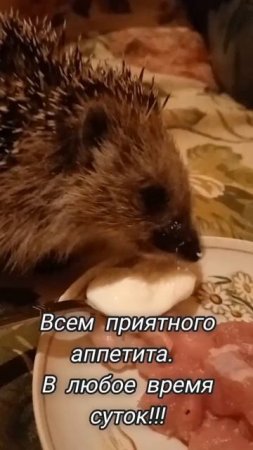 Приятного аппетита, в любое время суток!!!/Bon appetit, at any time of the day!!!