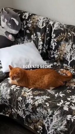 И жизнь хороша и 
жить хорошо 👍