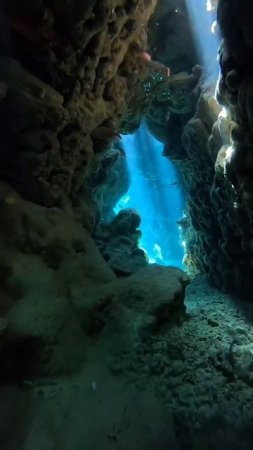 Египет, море
