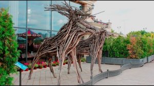 Казанские фото / Kazan photos